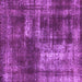 Square Abstract Purple Modern Rug, abs846pur