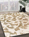 Machine Washable Abstract Gold Rug in a Family Room, wshabs847