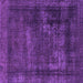 Square Persian Purple Bohemian Rug, abs852pur