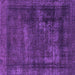 Square Machine Washable Persian Purple Bohemian Area Rugs, wshabs852pur