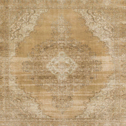 Square Abstract Cinnamon Brown Modern Rug, abs854