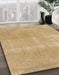 Machine Washable Abstract Gold Rug in a Family Room, wshabs858