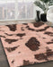 Abstract Light Salmon Pink Modern Rug in Family Room, abs859