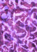Machine Washable Abstract Purple Modern Area Rugs, wshabs867pur