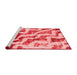 Modern Red Washable Rugs