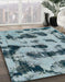 Machine Washable Abstract Greenish Blue Green Rug in a Family Room, wshabs870