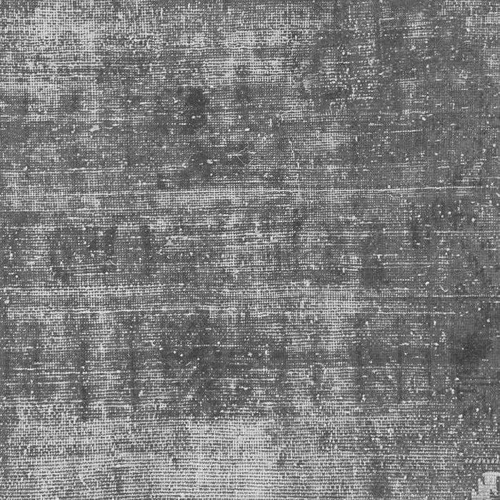 Oriental Gray Traditional Rug, abs904gry