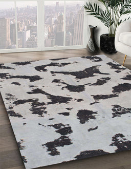 Machine Washable Abstract Silver Gray Rug in a Family Room, wshabs906