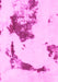 Machine Washable Abstract Pink Modern Rug, wshabs924pnk