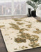 Abstract Copper Green Modern Rug in Family Room, abs926