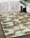 Machine Washable Abstract Brown Rug in a Family Room, wshabs931