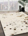 Abstract Tan Brown Modern Rug in Family Room, abs943