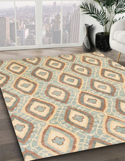 Machine Washable Abstract Camel Brown Rug in a Family Room, wshabs947
