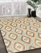 Machine Washable Abstract Camel Brown Rug in a Family Room, wshabs947