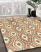 Abstract Bronze Brown Modern Rug in Family Room, abs948