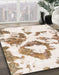 Machine Washable Abstract Champagne Beige Rug in a Family Room, wshabs953