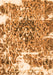 Abstract Orange Modern Rug, abs961org