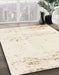 Abstract Bisque Beige Modern Rug in Family Room, abs964