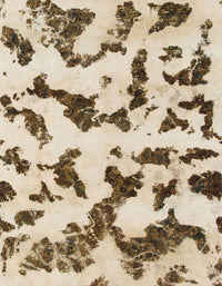 Machine Washable Abstract Brown Rug, wshabs966