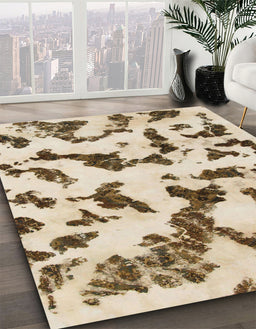 Machine Washable Abstract Brown Rug in a Family Room, wshabs966
