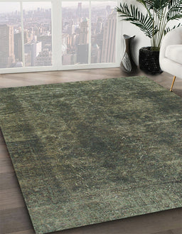 Machine Washable Abstract Army Green Rug in a Family Room, wshabs968