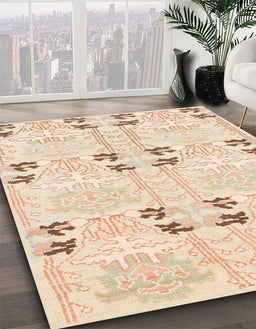 Machine Washable Abstract Navajo White Rug in a Family Room, wshabs972