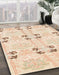 Machine Washable Abstract Navajo White Rug in a Family Room, wshabs972