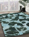 Machine Washable Abstract Dark Slate Gray Green Rug in a Family Room, wshabs977