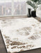 Machine Washable Abstract Off White Beige Rug in a Family Room, wshabs983