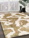 Machine Washable Abstract Wheat Beige Rug in a Family Room, wshabs985