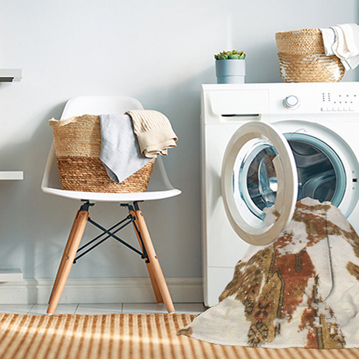 Machine Washable Abstract Chocolate Brown Rug in a Washing Machine, wshabs986