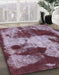 Machine Washable Abstract Purple Rug in a Family Room, wshabs989