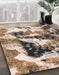 Machine Washable Abstract Brown Rug in a Family Room, wshabs997