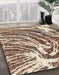 Machine Washable Abstract Dark Sienna Brown Rug in a Family Room, wshabs999