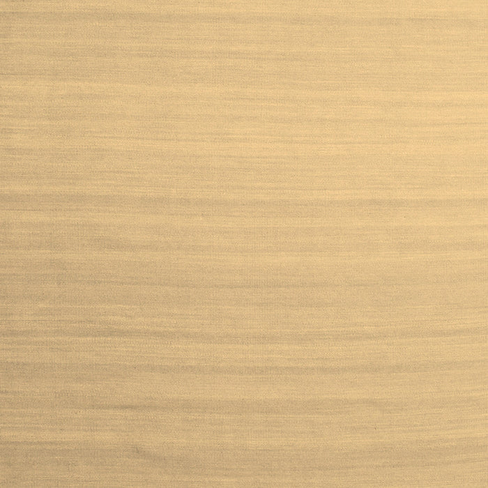 Abstract Brown Contemporary Rug, con1003brn