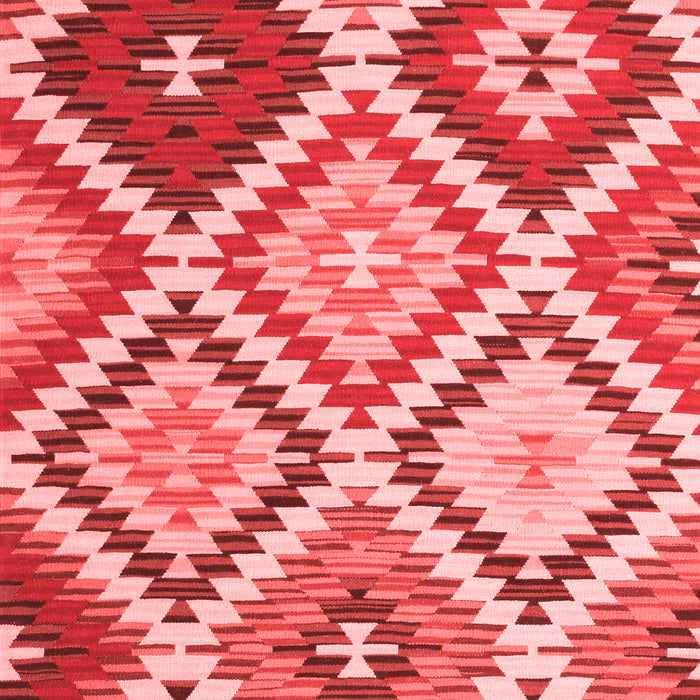 Abstract Red Contemporary Area Rugs