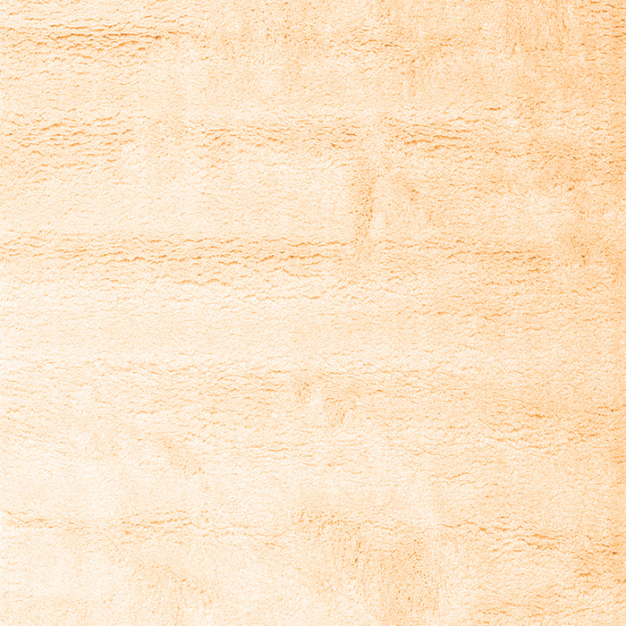 Solid Orange Modern Rug, con1011org