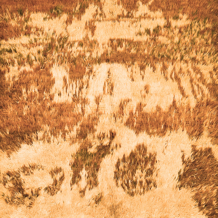 Abstract Orange Contemporary Rug, con1021org