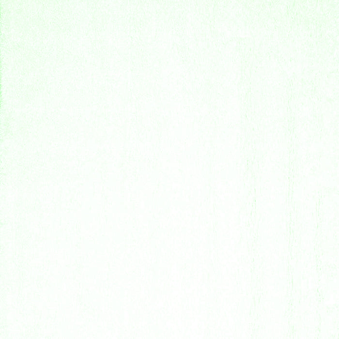 Solid Green Modern Rug, con1024grn