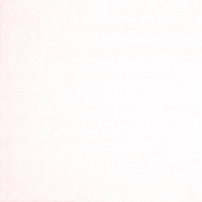 Solid Red Modern Rug, con1024red