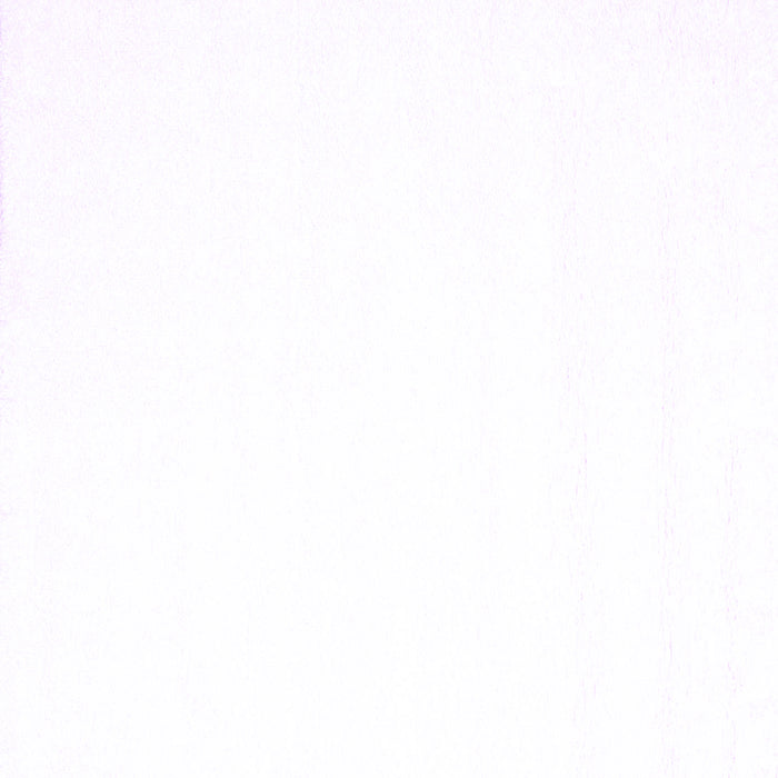 Solid Purple Modern Rug, con1024pur