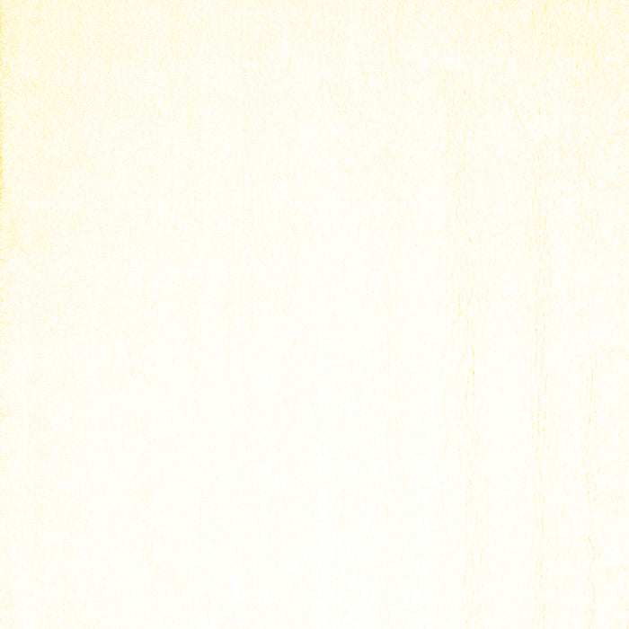 Solid Yellow Modern Rug, con1024yw