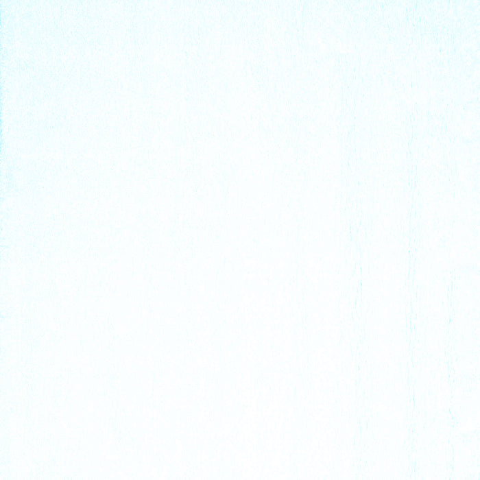 Solid Light Blue Modern Rug, con1024lblu