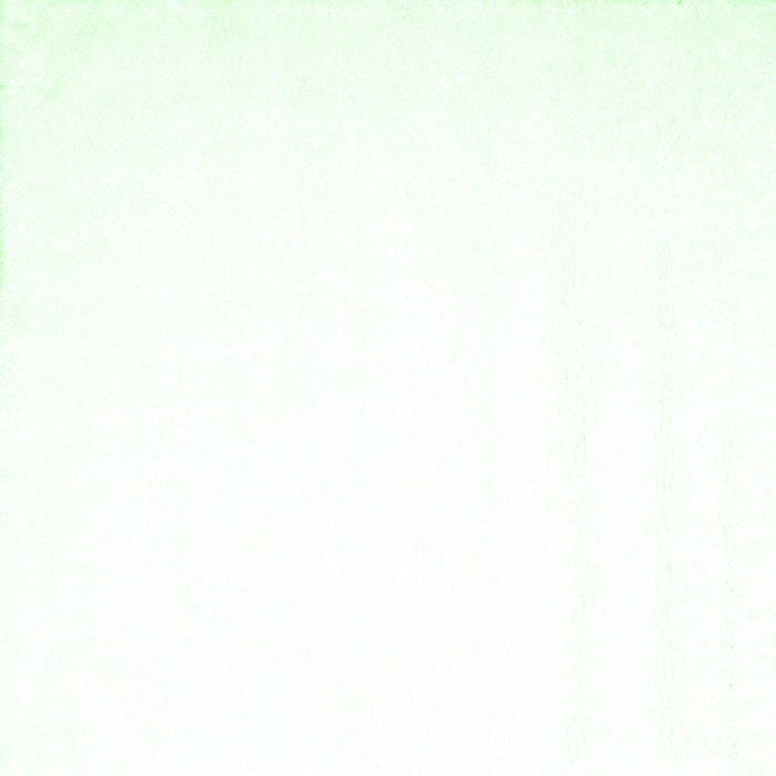 Serging Thickness of Solid Green Modern Rug, con1024grn