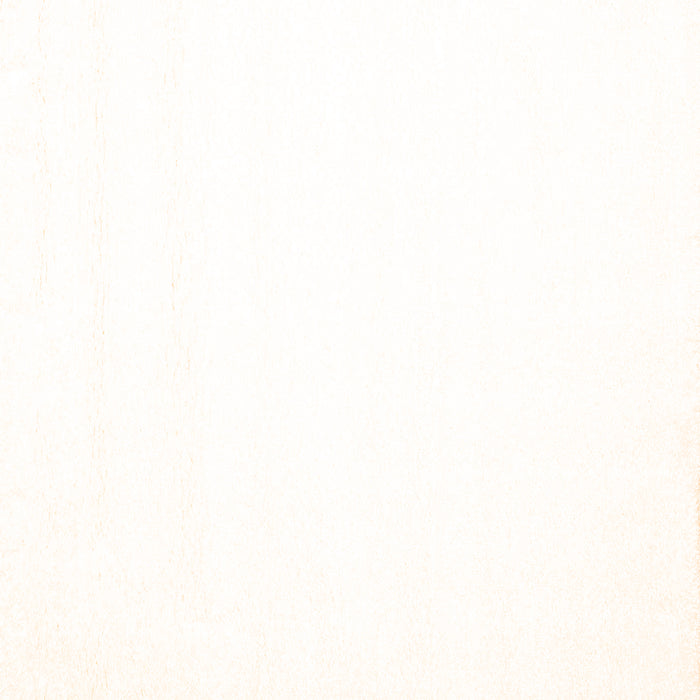 Solid Orange Modern Rug, con1024org