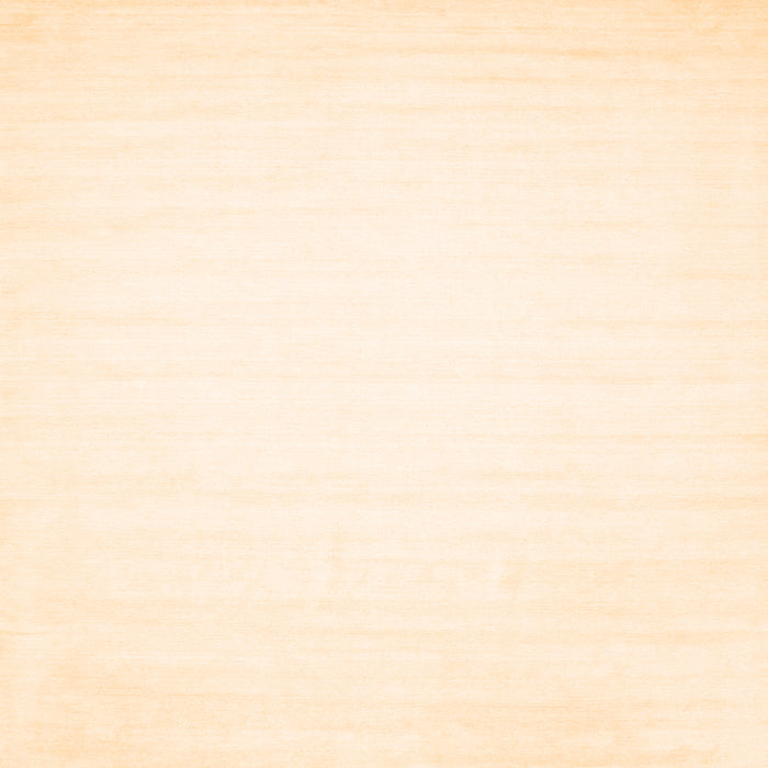 Round Machine Washable Solid Orange Modern Area Rugs, wshcon103org