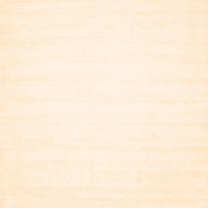 Solid Orange Modern Rug, con103org