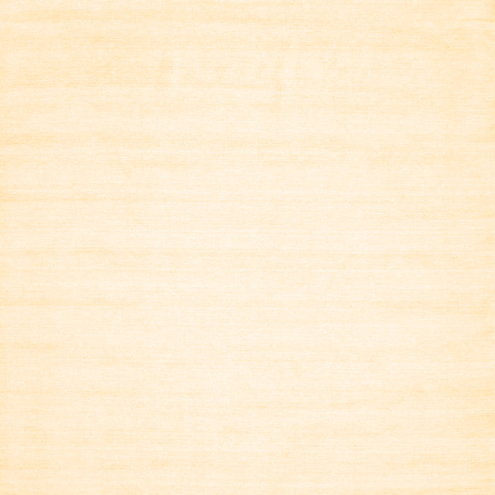 Machine Washable Solid Brown Modern Rug, wshcon103brn