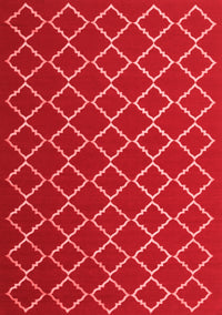 Trellis Red Modern Rug, con1054red