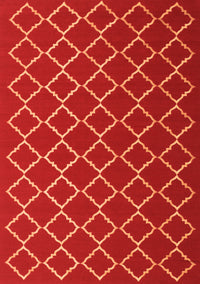 Trellis Orange Modern Rug, con1054org